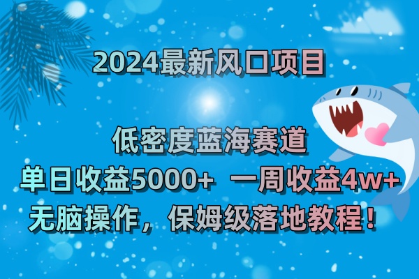 2024最新风口项目 低密度蓝海赛道，日收益5000+周收益4w+ 无脑操作
