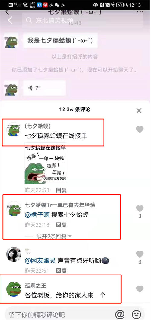 (图13)