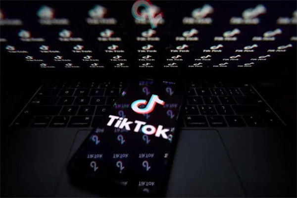 怎么在抖音国际版TikTok赚钱？Tik Tok撸美金项目(图1)