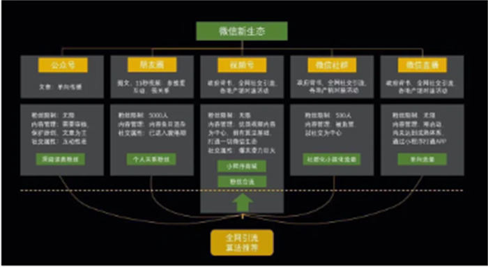 视频号1小时涨100粉经验，人人都能复制(图1)