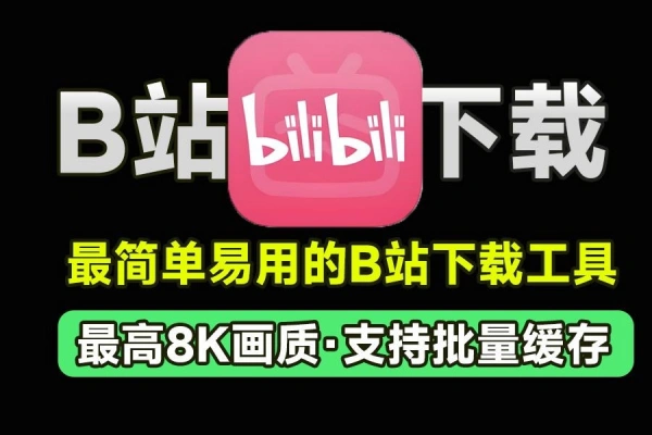 最佳B站视频下载工具完全免费支持8k画质！支持UP主