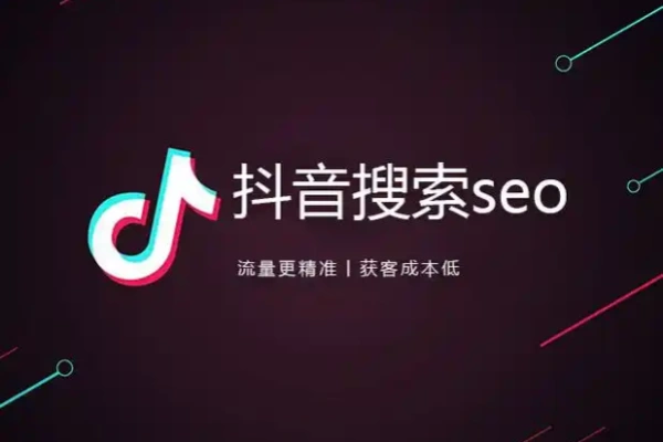 抖音SEO搜索流量课了解抖音SEO的底层逻辑