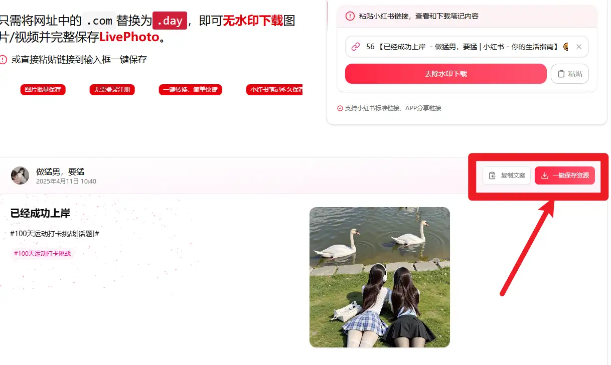 小红书无水印解析下载神器！30 秒保存笔记原图视频(图2)