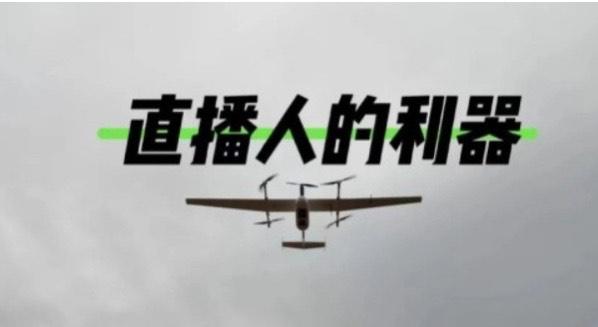 (图1)