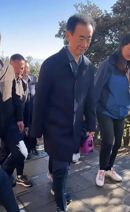(图3)
