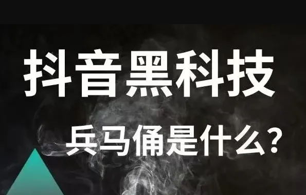 (图2)