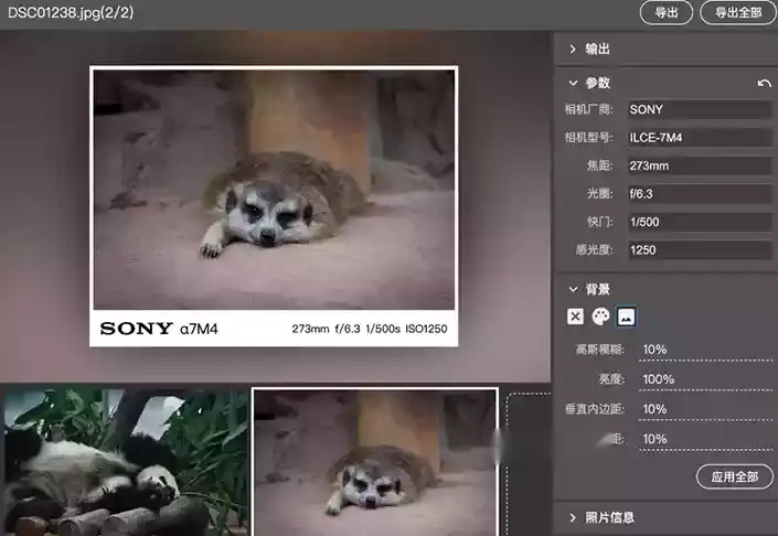 超实用！可读取 EXIF 信息的图片加水印工具，自定义样式位置还能批量添加(图2)