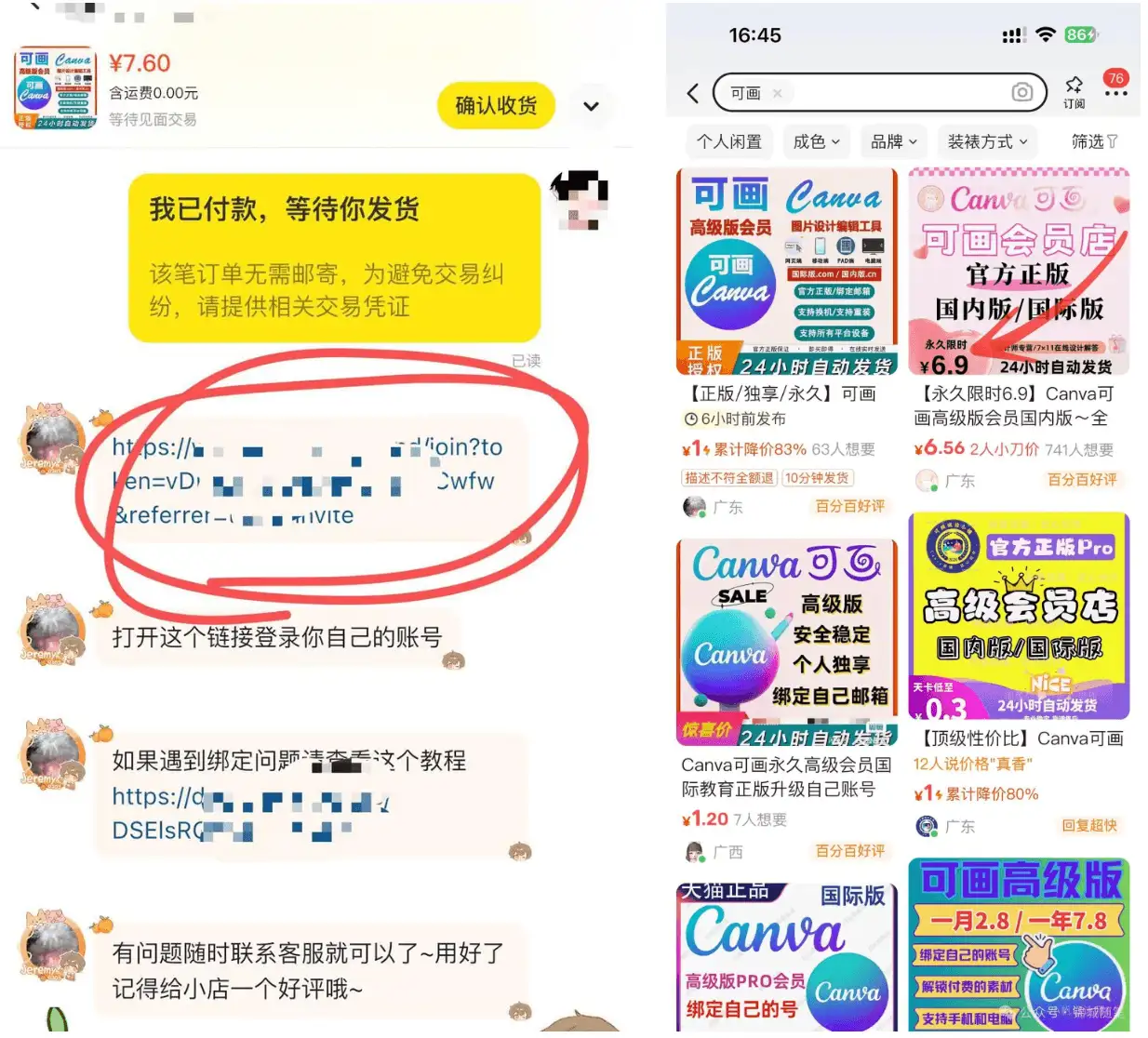闲鱼虚拟电商单个店铺单品爆款(图2)