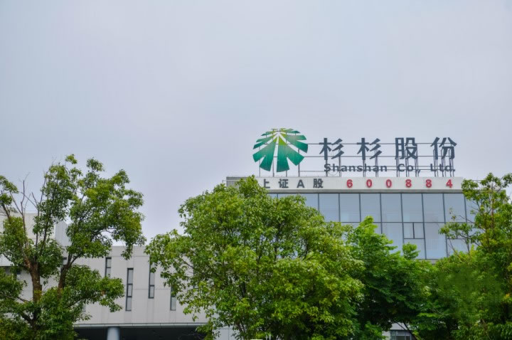 43岁后妈‘吃掉’34岁长子，千亿企业杉杉集团濒临崩盘