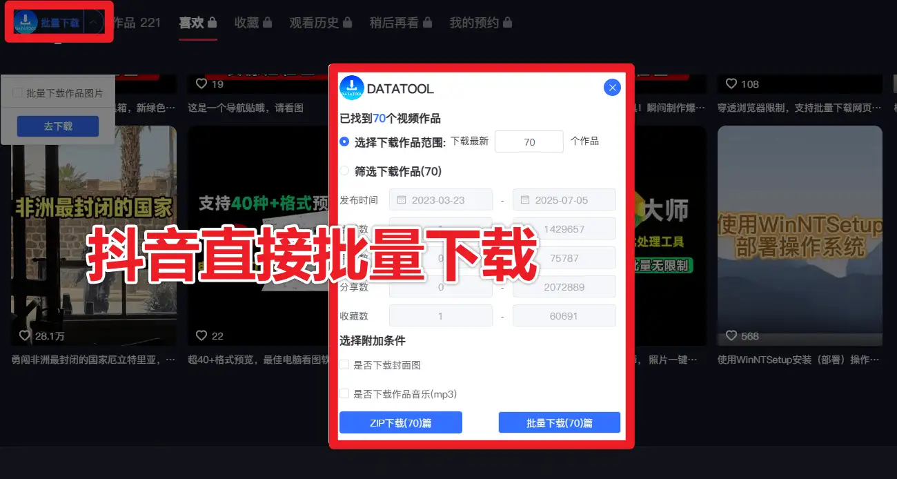 解析下载工具轻松批量下载100+平台4K视频无水印解析(图4)