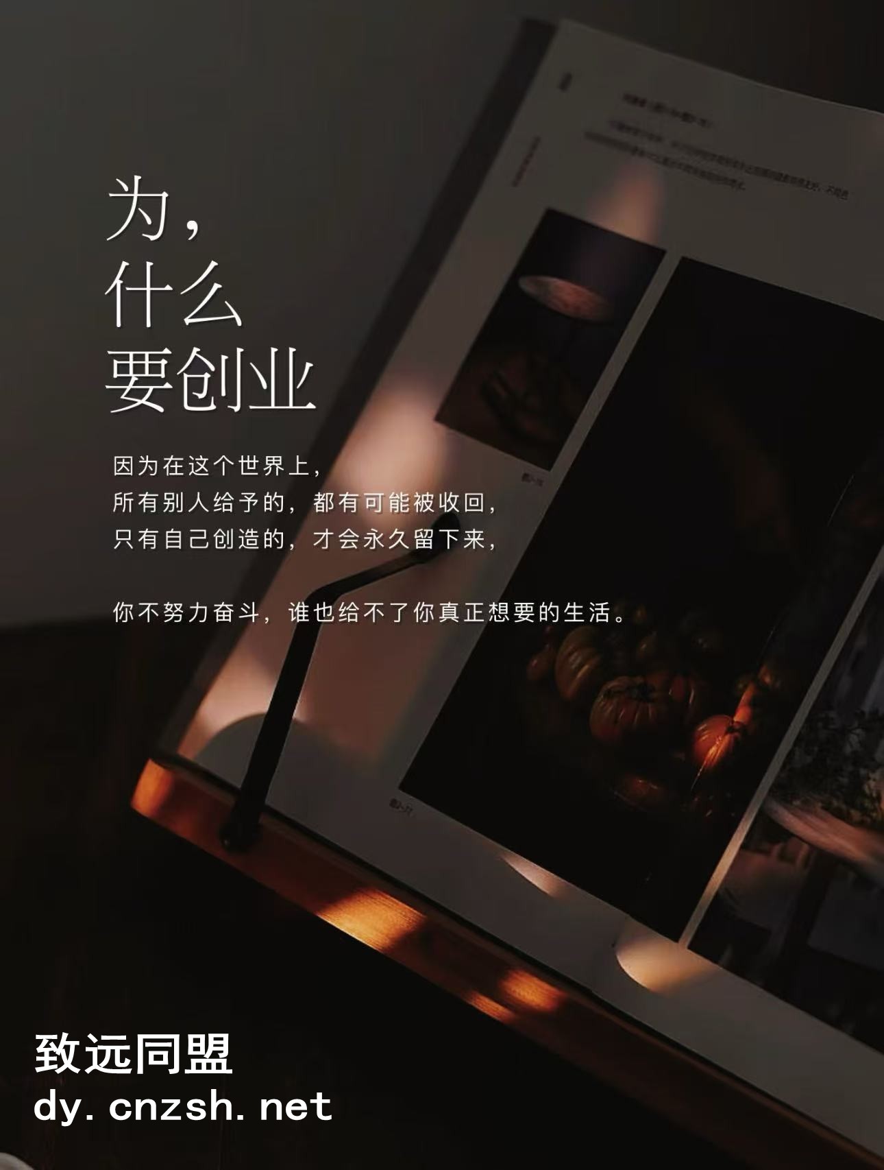 (图3)