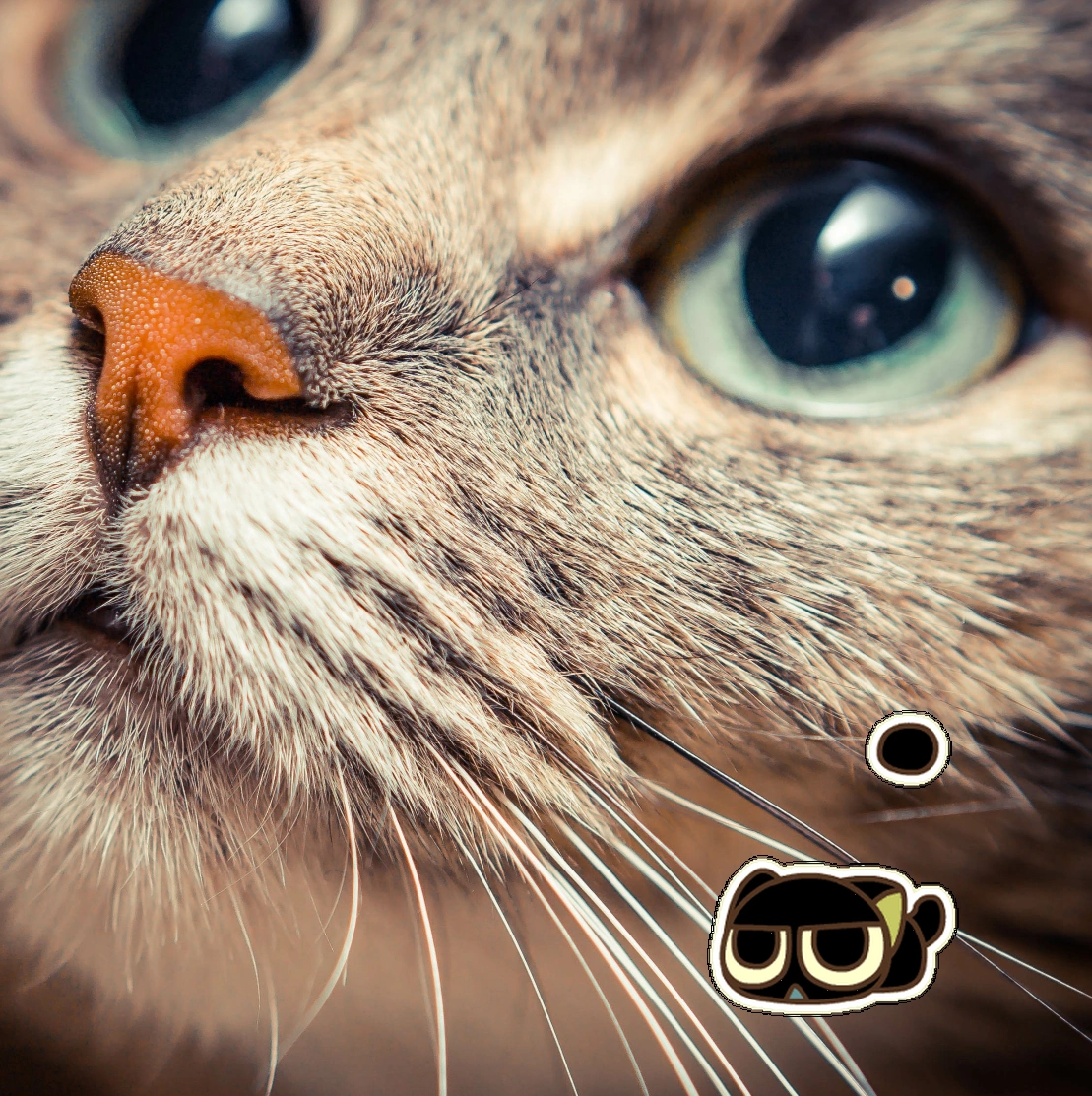 罗小黑小黑猫桌宠电脑端热门资源(图2)
