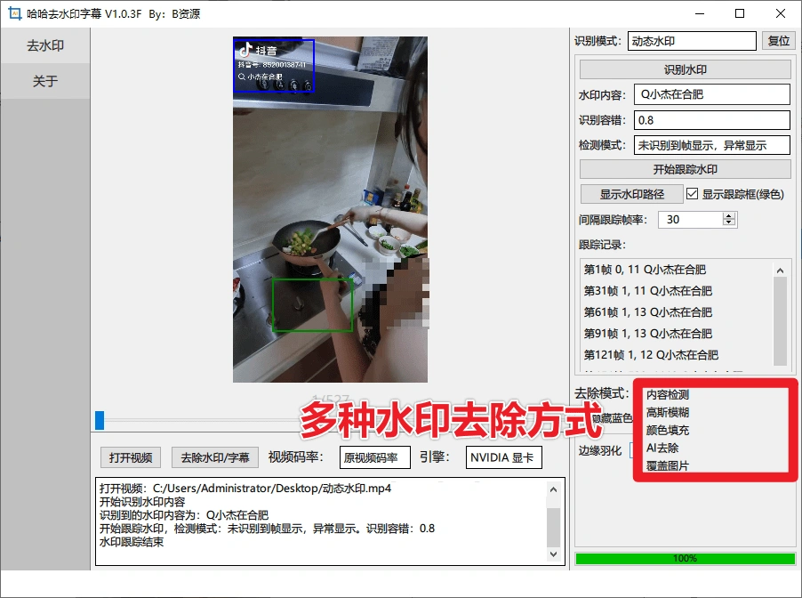本地Ai离线视频去水印字幕支持字幕去除动静态水印去除(图2)