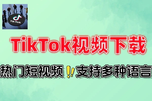TikTok视频下载器(图1)