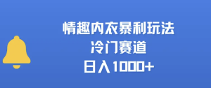 情趣内衣暴利玩法，冷门赛道，日入1000+(图1)