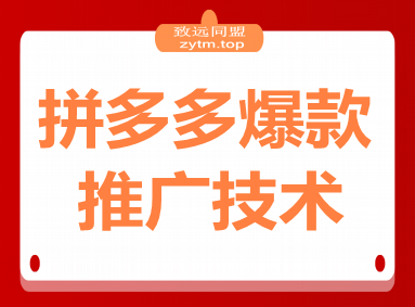 拼多多爆款推广技术48期，净成交与出价策略，极速起量时机判断实操指南(图1)