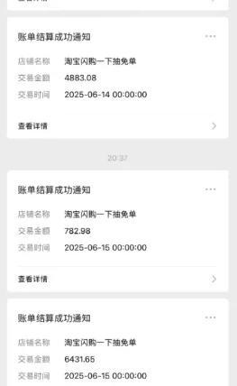 2025外卖掘金潮：行业补贴大洗牌，半年稳提奔驰级收益【云众推客】(图16)