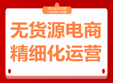 无货源电商精细化运营：从选品到爆款，实现轻资产高回报(40+节系统课)