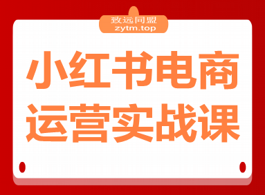 小红书电商运营实战课：涵盖直播带货、店铺运营、笔记运营、AI工具赋能