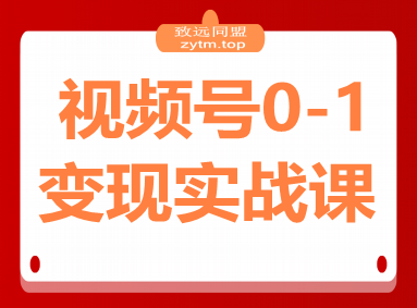 视频号0-1变现实战课：AI爆款脚本+四大变现，普通人30天月入5000+