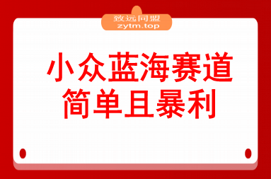 小众蓝海赛道，简单且暴利，市场需求量大，一单利润500-2000