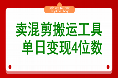 信息差项目，靠卖混剪搬运工具，单日变现4位数，需求量大，复购强(图1)