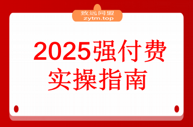 2025万金油强付费玩法-9月：干货满满，全程实操起飞，强付费最强玩法