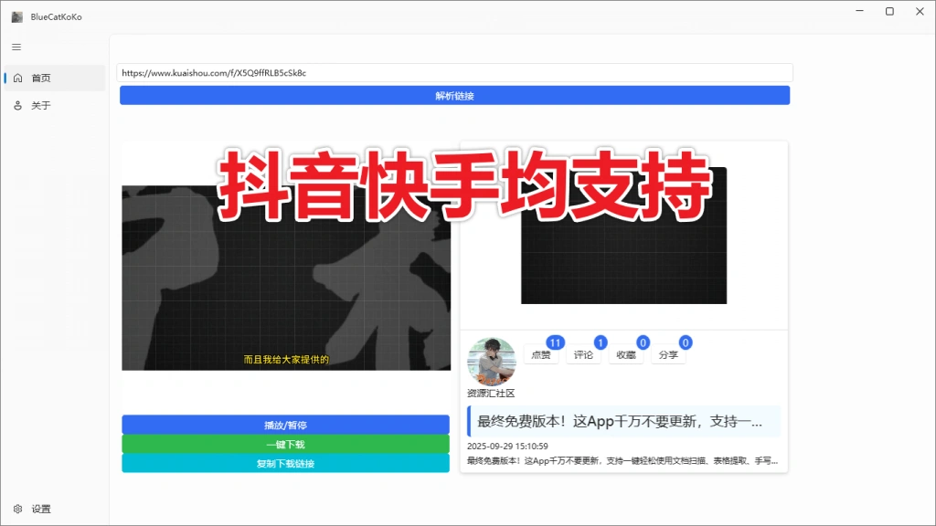 抖音快手视频解析下载工具(图2)