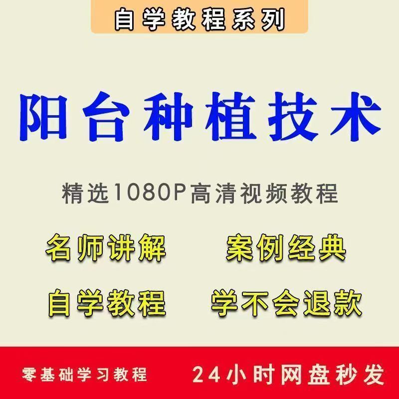 零食品带货短视频+建筑施工动画+篮球系统训练课程+拉丁舞教程视频+电子琴学习视频-4 零食品带货短视频+建筑施工动画+篮球系统训练课程+拉丁舞教程视频+电子琴学习视频