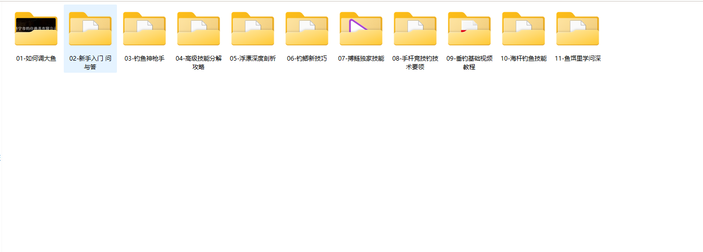 钓鱼视频教程实战大全技巧-1 钓鱼视频教程实战大全技巧(图2)