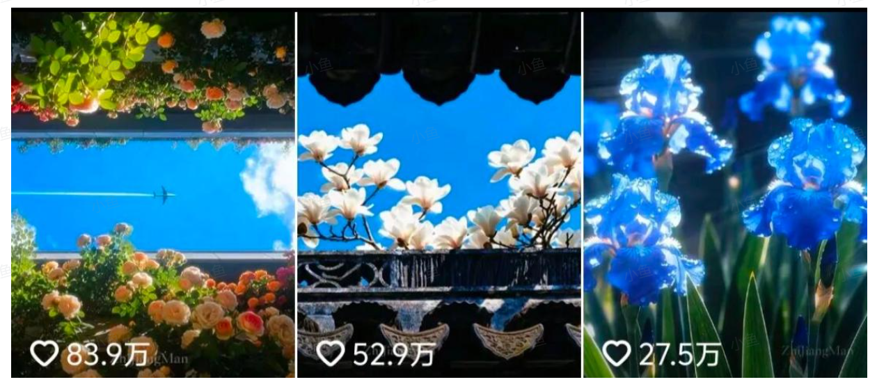 AI绽放治愈力！百万点赞的电子花朵，化身你的心灵布洛芬(图2)