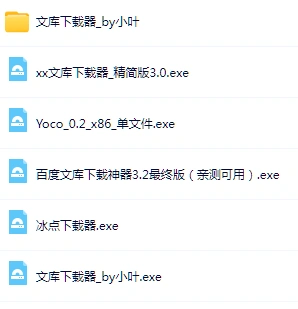 某度文库文档下载器(图2)