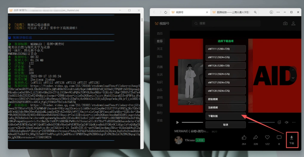 视频号下载神器界面美观效果更强大支持智能识别分类(图3)