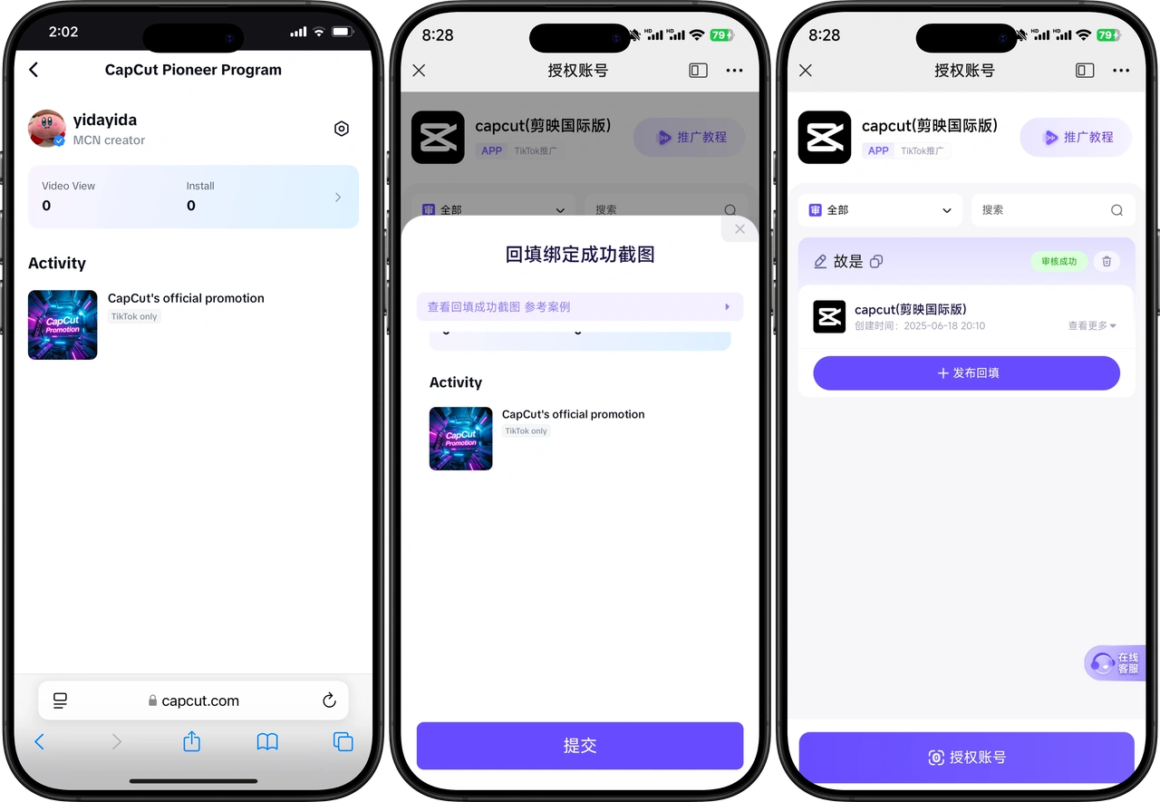 剪映国际版Capcut轻松掌握TikTok推广技巧(图3)