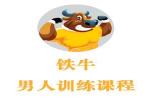 铁牛会员课程合集 铁牛延时训练法-1 铁牛会员课程合集 铁牛延时训练法(图1)