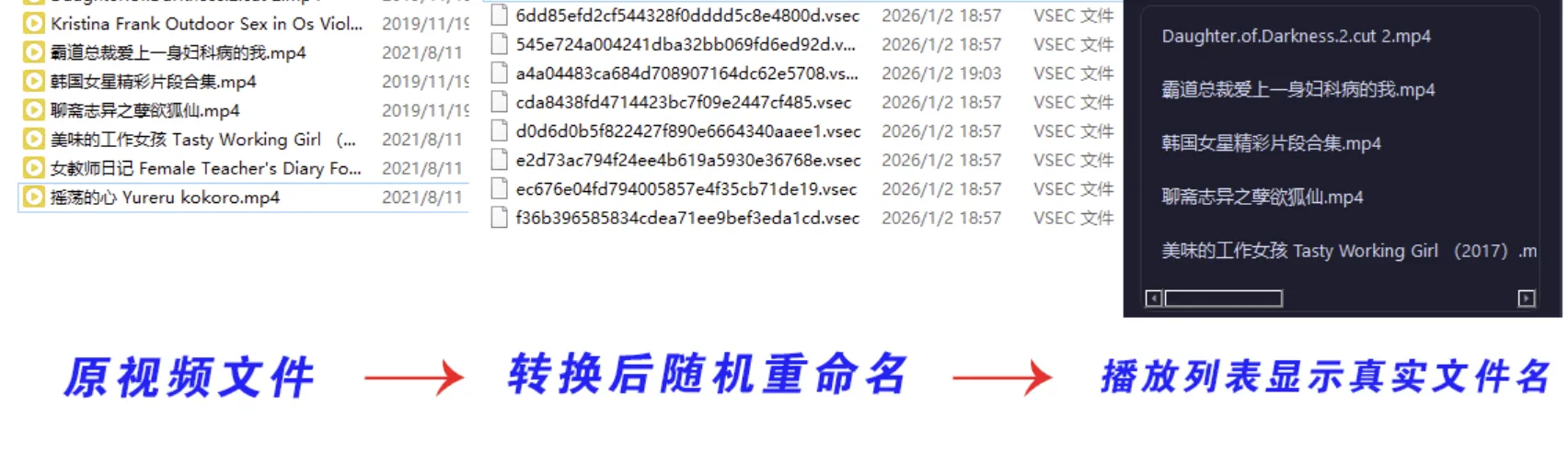 SecureVault Player V0.6.9 老司机专用播放器-私密视频防泄露工具(图2)