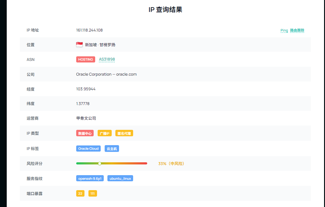 IPv4IPv6 域名查询(图2)