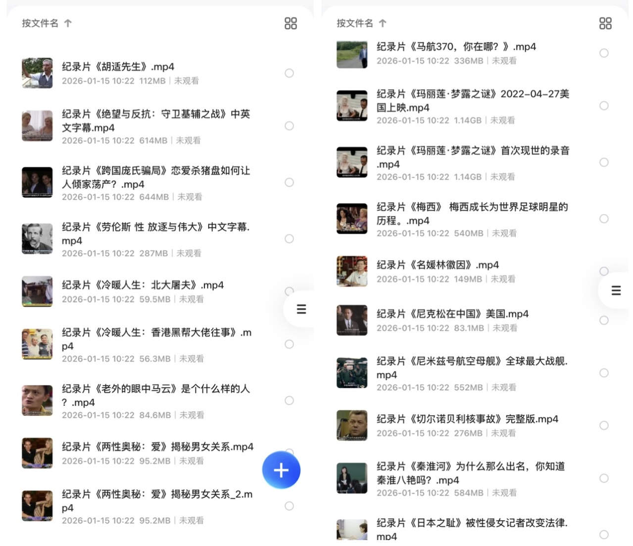 稀有纪录片资源：下架F禁纪录片88部合集 + 1080P分辨率 + 中英字幕(图2)