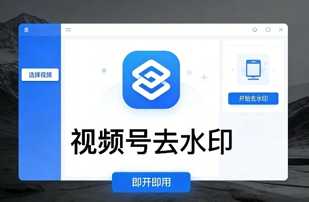 视频号去水印软件电脑软件(图2)