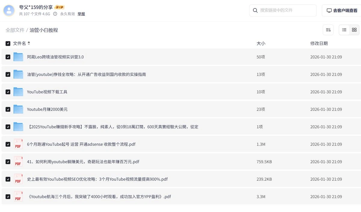 YouTube赚钱一份实操指南(图2)