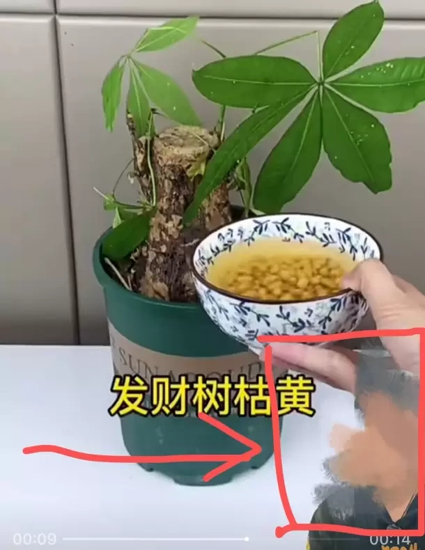 视频号伪原创小技巧(图2)