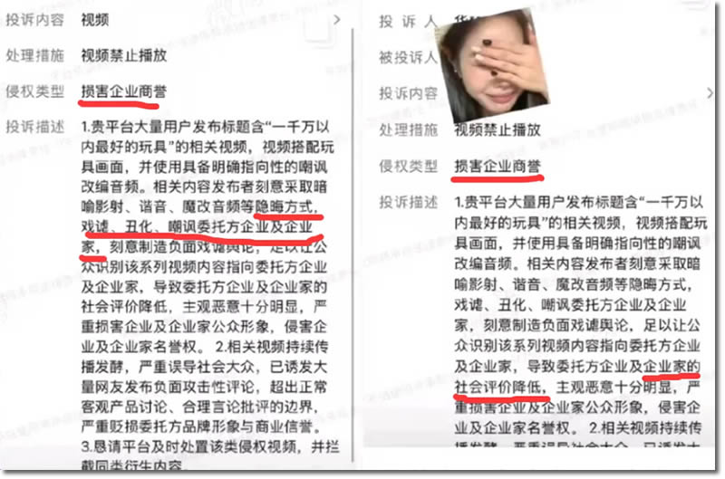 一只竹知了,为什么会成为互联网热点-2 一只竹知了,为什么会成为互联网热点(图2)