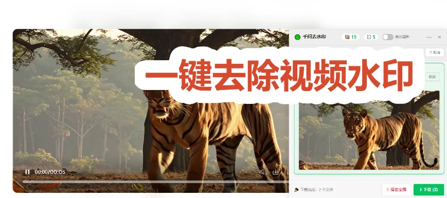 免费离线的AI去水印工具，视频图片都能批量搞(图2)