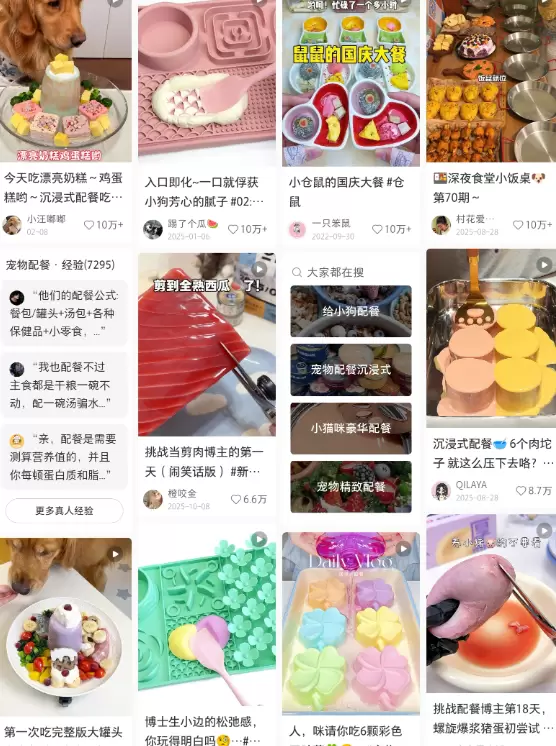 宠物配餐副业:赚的是「不知道咋喂」的钱-2 宠物配餐副业:赚的是「不知道咋喂」的钱(图2)