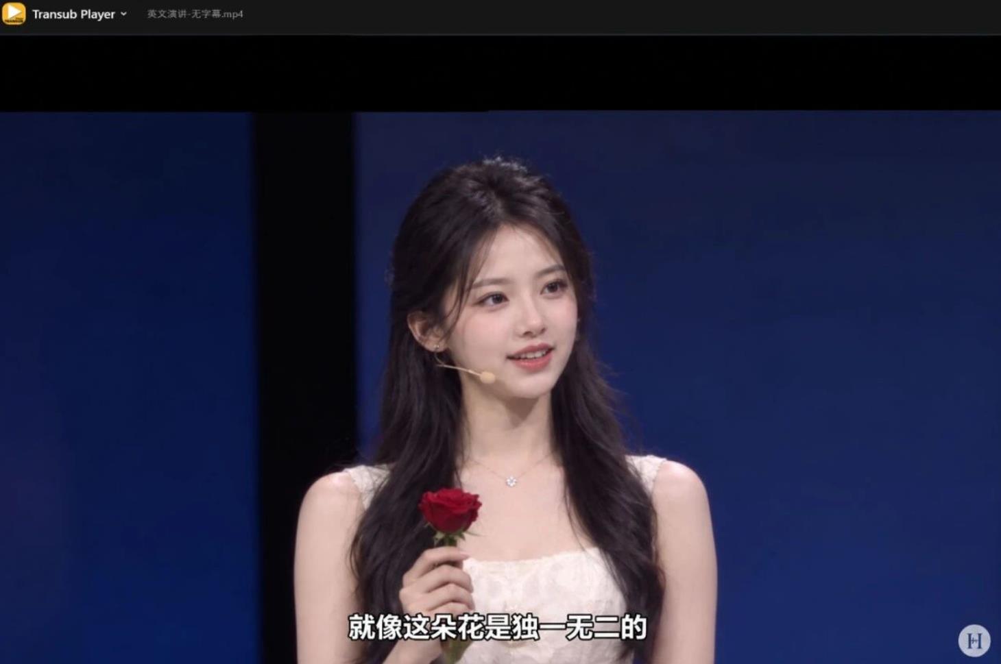 TransubPlayer_1.5.2,AI自动生成双语字幕,看片学语言两不误-1 TransubPlayer_1.5.2,AI自动生成双语字幕,看片学语言两不误(图1)